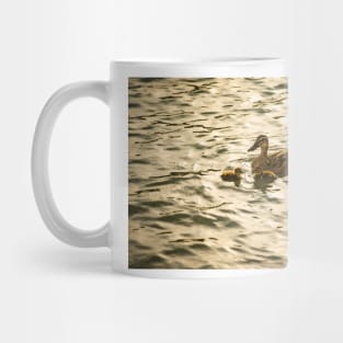 Baby Mallard and Mother Mug